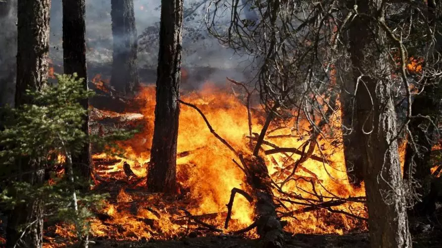 Revoca allerta incendi boschivi